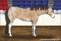 Horse Color:Buckskin Ice Sabino 