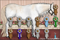 Horse Color:White Spotted Perlino 