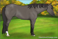 Horse Color:Smoky Grullo 