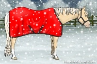 Horse Color:White Spotted Gold Cream Champagne 