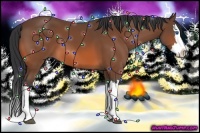 Horse Color:Bay Splash 