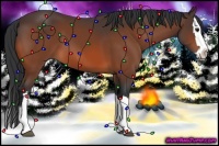 Horse Color:Bay Splash 