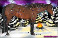 Horse Color:Bay Splash 