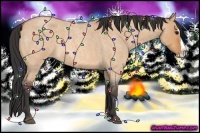 Horse Color:Bay Roan Dun Splash 