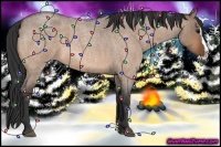 Horse Color:Bay Roan Dun Splash 