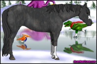 Horse Color:Black  Brindle