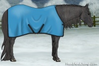 Horse Color:Black  Brindle