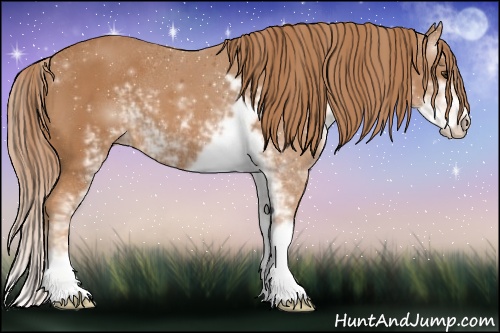 Horse Color: Chestnut Sabino 