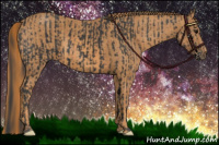 Horse Color:Black  Brindle