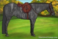 Horse Color:Blue Roan Brindle