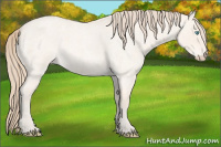 Horse Color:Perlino Roan Dun 