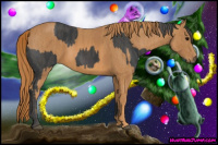 Horse Color:Black  Brindle