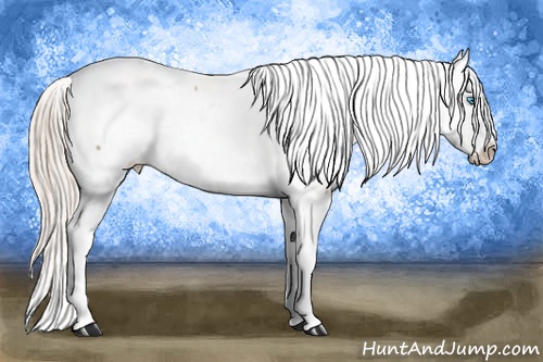 Horse Color: Chocolate Palomino Pearl Tobiano Frame Near Fewspot 