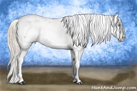 Horse Color:Chocolate Palomino Pearl Tobiano Frame Near Fewspot 