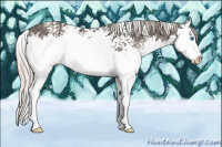 Horse Color:White Spotted Silver Black Sabino Splash