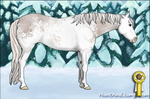 Horse Color: White Spotted Silver Brown Sabino Splash 