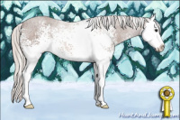 Horse Color:White Spotted Silver Brown Sabino Splash