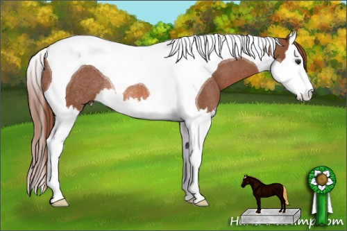 Horse Color: Liver Chestnut Sabino Splash Tobiano Rabicano 