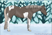 Horse Color:Silver Black Sabino Tobiano 
