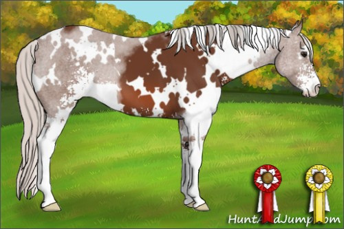 Horse Color: White Spotted Silver Bay Sabino 