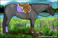 Horse Color:Blue Roan 