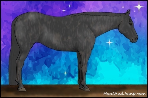 Horse Color: Black  Brindle
