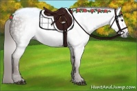 Horse Color:Gray Chestnut 