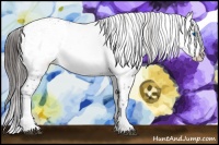 Horse Color:Liver Chestnut Frame 