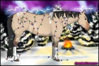 Horse Color:Bay Dun Tobiano 