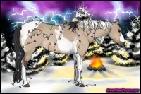 Horse Color:Bay Dun Tobiano 