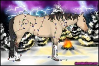 Horse Color:Bay Dun Tobiano 