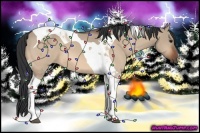 Horse Color:Bay Dun Tobiano 