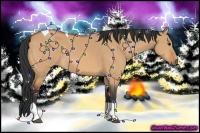 Horse Color:Bay Dun Tobiano