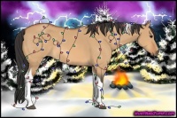 Horse Color:Bay Dun Tobiano 