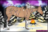 Horse Color:Bay Dun Tobiano 