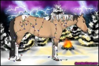 Horse Color:Bay Dun Tobiano 