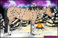 Horse Color:Bay Roan Dun Tobiano