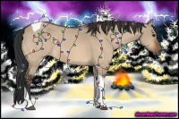 Horse Color:Bay Dun Tobiano 