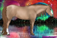 Horse Color:Liver Chestnut Pearl