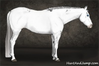 Horse Color:Liver Chestnut Frame 