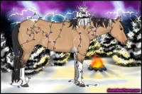 Horse Color:Bay Dun Tobiano 