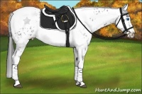 Horse Color:Liver Chestnut Frame 