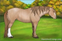 Horse Color:Brown Pearl  Brindle