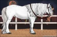 Horse Color:Silver Blue Roan Frame 