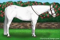 Horse Color:Black Frame