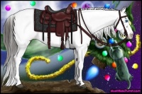 Horse Color:Liver Chestnut Frame 