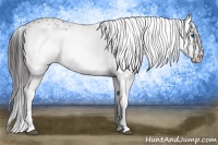 Horse Color:Liver Chestnut Frame 