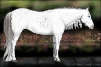 Horse Color:Liver Chestnut Frame 