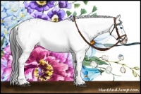 Horse Color:Black Frame 