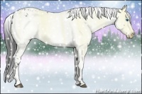 Horse Color:Black Frame 